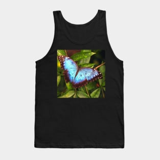 Blue Butterfly Tank Top